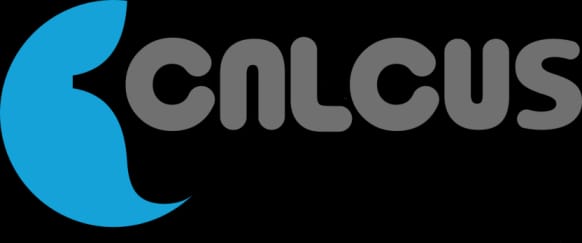 Companies where our students are successfully working